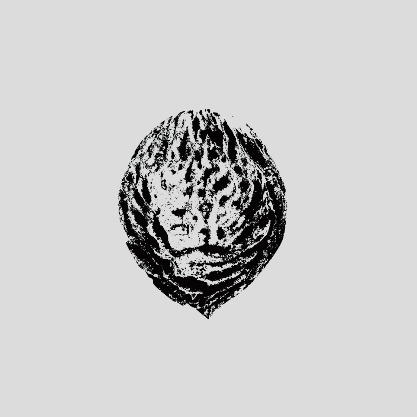 Black Lips - 'Bebop Armageddon (Detours & Offcuts From Season Of The Peach)' (PRE-ORDER)
